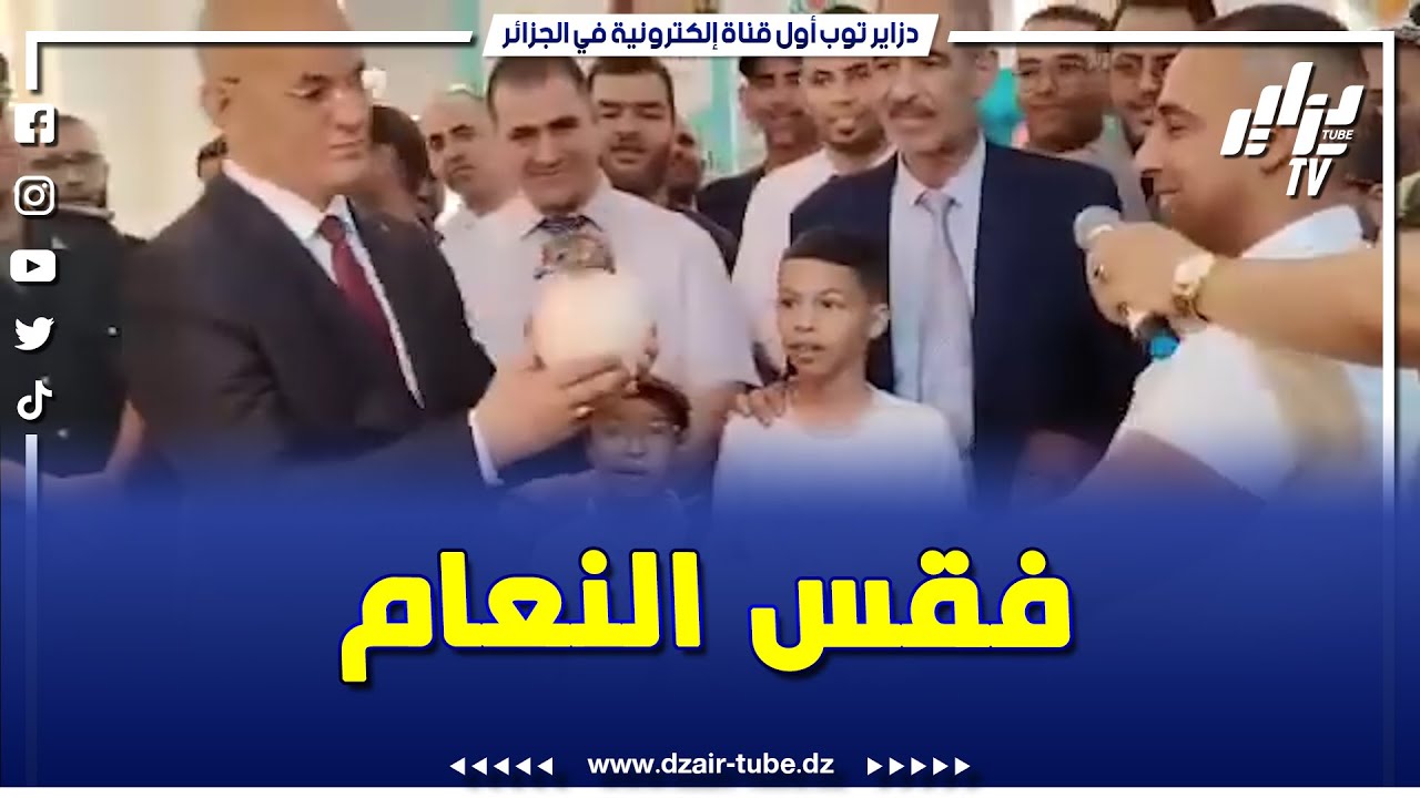 🔴 شاهد.. لحظة ولادة أسطورة السرعة 🏁🐤 طائر النعام يخرج من البيضة بـ واد سوف