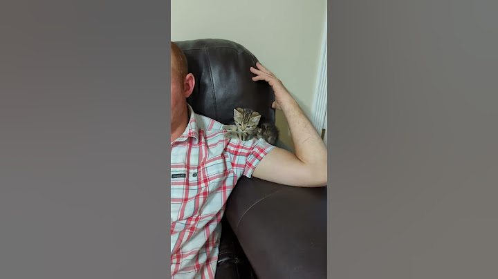 Dads With the Animals They Didn't Want