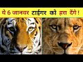 top 6 animal kill tiger ll यह 6 जानवर  टाइगर को हरा सकते हैं