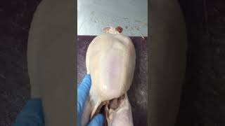 Вот как накачали курицу #говядина #стейк #butcher #butcherlife #мясо #кострома #рибай #свинина #прик