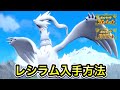 【ポケモンSV】レシラムの入手方法！出現場所まで案内します