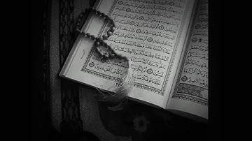 سورة الماعون - للقارئ وديع اليمني