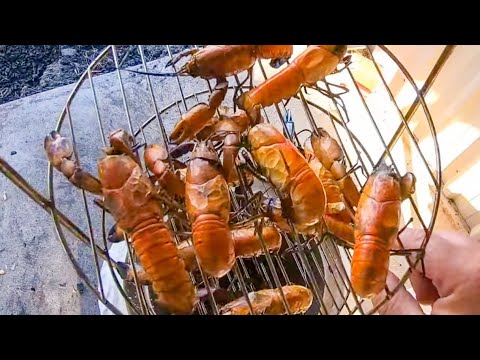 How To Cook Yabbies Like A Pro Youtube