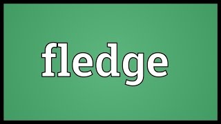Fledge Meaning