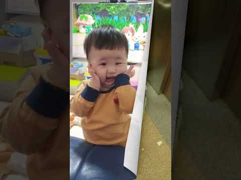소똥이 변천사 #태어나서 #세돌까지 #이랬는데 #요랬다가