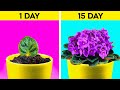 30+ BRIGHT GREEN IDEAS FOR YOUR GARDEN || Planting Hacks for home