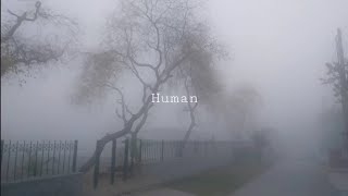 Human - The Hunts (Lyrics)