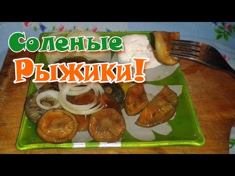 Творим чудеса! Как солить рыжики?