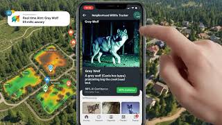 Funny animal app idea screenshot 3