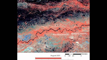 Taquari Avulsion Animation 3 Channel Narrowing - JSR 2011.mpg