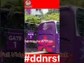 india pakistan match: India vs Pakistan | Pakistan vs India DDNRST #shortsfeed #trending