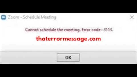 Error Code 3113 - Zoom