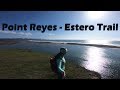 Hiking Point Reyes - Estero Trail