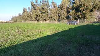 Parcela 5.000 Mt2 sector el Paico parcela 13 Talagante Comuna El Monte Propiedades EGM