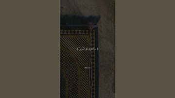The Noble Quran ا القرآن الكريم #القرآن_الكريم