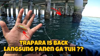 Download Lagu ‼️TRAPARA IS BACK‼️ MANCING DI SPOT DANGKAL AREA TIANG TOL BENOA | MANCING DI BALI MP3 Download Lagu ‼️TRAPARA IS BACK‼️ MANCING DI SPOT DANGKAL AREA TIANG TOL BENOA | MANCING DI BALI MP3