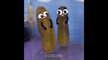 I Hate The Inverted Color