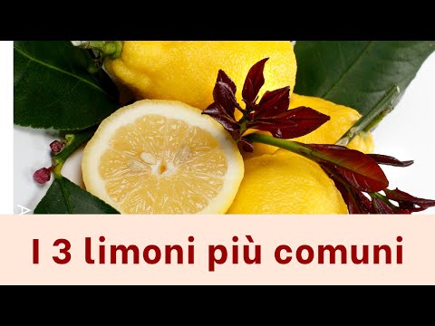 Video: Quali Sono Le Varietà Di Limoni