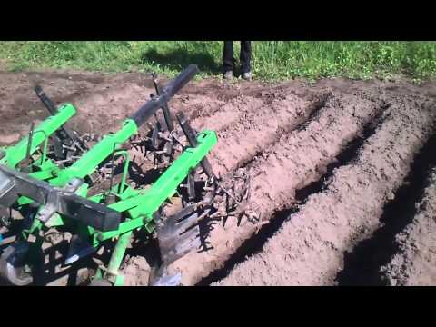 Культиватор для міжрядної прополки ( їжаки ) -1 Cultivator for inter-row weeding (hedgehogs) -1