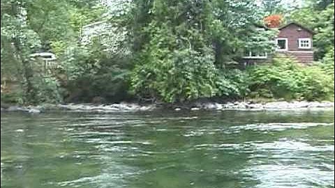 Campbell River Snorkel with the Salmon.VOB