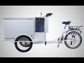 Трехколесный электрический велосипед с морозильной камерой. Велорикша для продажи мороженного.