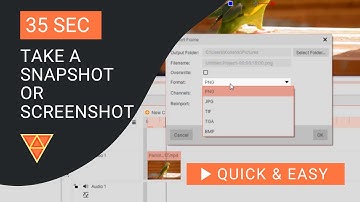 Hitfilm Express Tutorial: How to Take a Snapshot or Screenshot in HitFilm Express