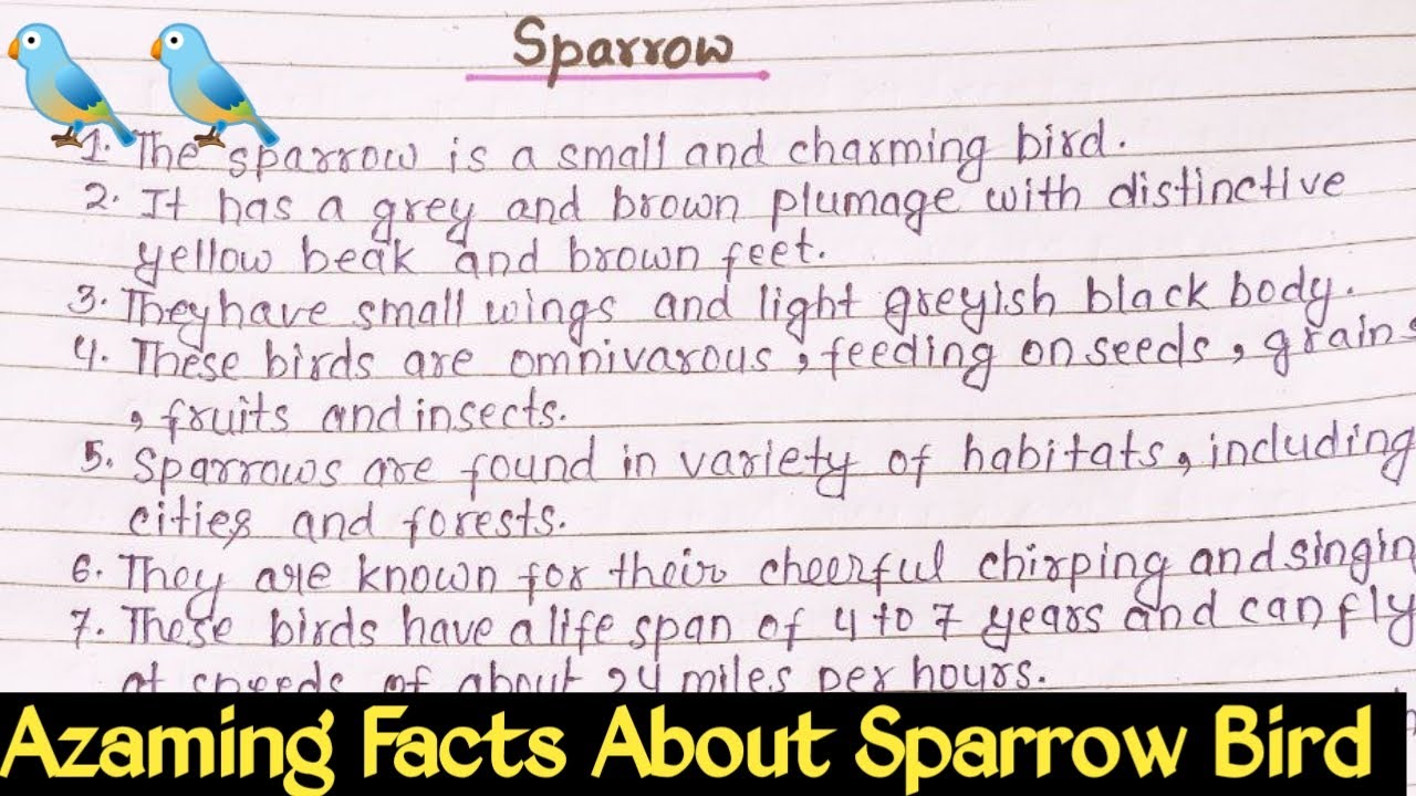 the-sparrow-essay-in-english-the-sparrow-10-lines-essay-about