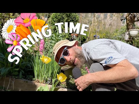 Spring Time: Ad from You Be Trippin' with Ari Shaffir