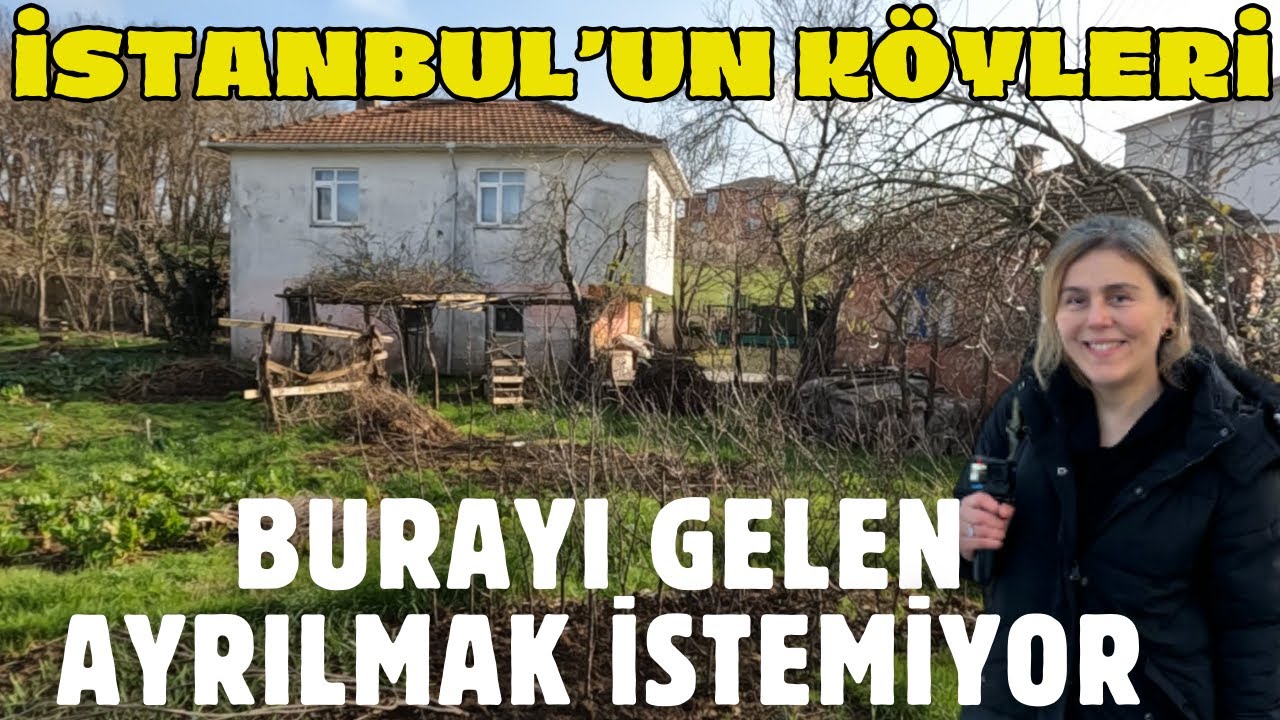 İSTANBUL'DA KÖY HAYATI, ÇEVRESİ DAĞLARLA ÇEVRİLİ, İSTANBUL'UN KÜÇÜK TRABZON'U İSHAKLI KÖYÜ! BEYKOZ