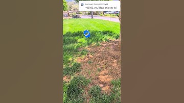 this is really fun #3dprint #randomprintables