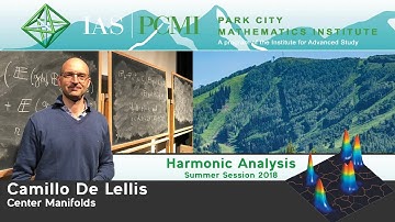 Camillo De Lellis, Almgren’s Center Manifold in a Simple Setting, part 1