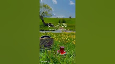 صلوا عليه وسلموا تسليما #قرآن #سورة #ياسر_الدوسري ##quran #quotes