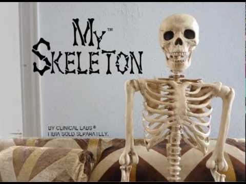 My Skeleton - YouTube