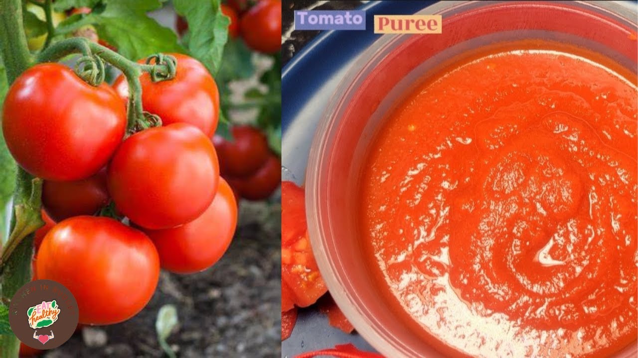 Tomato Puree Recipe ٹومیٹو پیوری بنا لیں اور مہینوں استعمال کریں