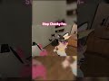Oh no- Shes stuck! #vtuber #vtuberclips #vrchat