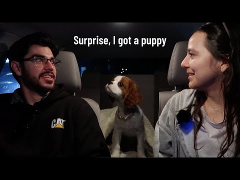 I failed a class and got a puppy | PA School Vlog