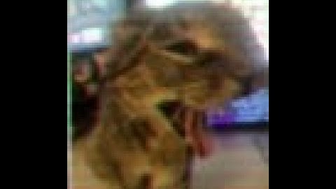 Dumb gmod pill pack hide and seek