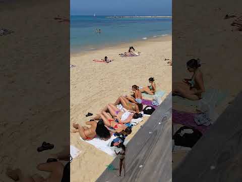 BEACH SUMMER 🏝️ | TEL AVIV 🇮🇱 | 7 #beach #video #shorts