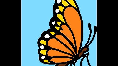 Vòng đời của loài bướm|Butterfly life cycle - Quá trình phát triển của bướm