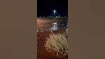 القارئ ريان المحيسني #القارئ_ريان_المحيسني