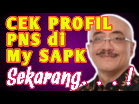 Tutorial Cara Cek Profil PNS di My SAPK BKN.