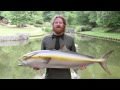 Brent Hinds Commercial Bloopers