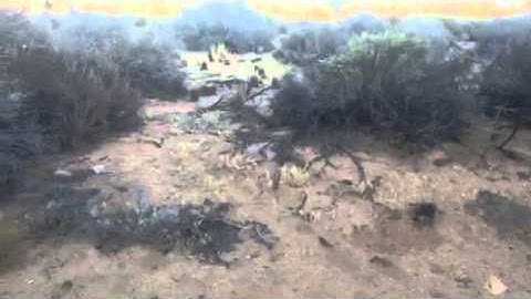 Could Bill Ewasko have missed Covington Crest Trail?