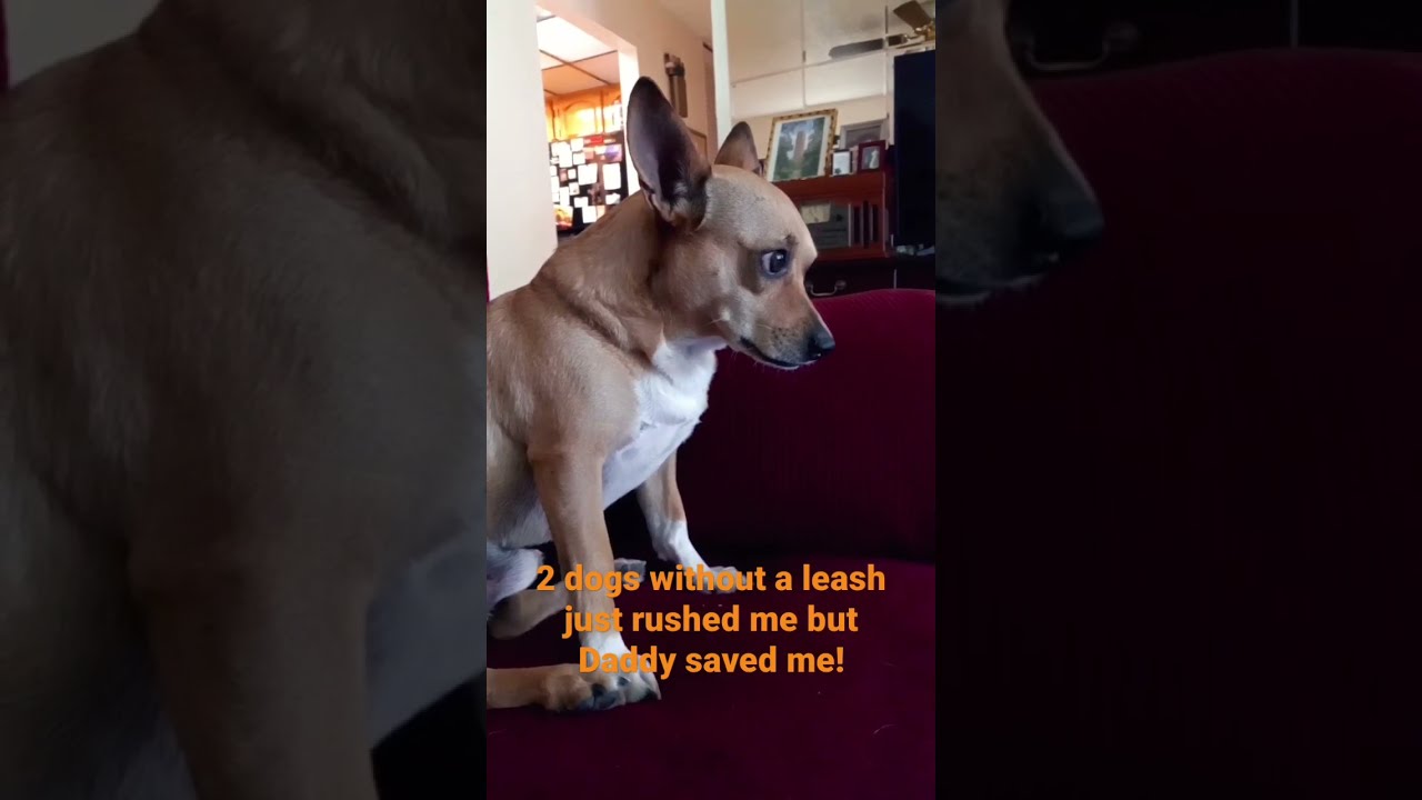 A Very Close Call 