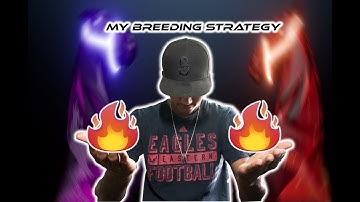 MY BREEDING STRATEGY | ZED RUN