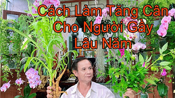 4 Bài Thuốc Giúp Tăng Cân Cho Người Gầy Yếu Lâu Năm Cực Kỳ Hiệu Quả Không Tốn Tiền