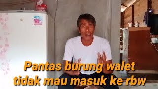 Walet tekuk lutut!!! Teknik paling mudah cara inapkan burung walet ala rbw mini asal jadi