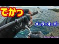 堤防からメーターオーバー 10㎏オーバーの魚を釣って食う【ショアジギング】ジギングフルモン290