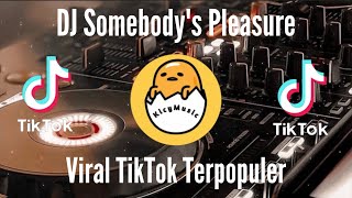 DJ SOMEBODY'S PLEASURE - SOUL TRY TO FIGURE IT OUT