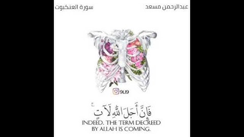 أرح سمعك بتلاوة من سورة العنكبوت للقارئ عبدالله الموسى